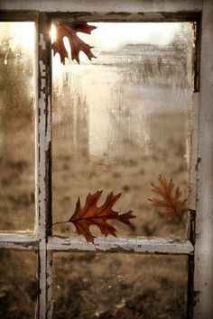 Napkins in Autumn Breath (Poem)